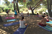 atelier Reiki, massage, soin énergétique  Corse Stage de Yoga, méditation et soins énergétiques en Corse